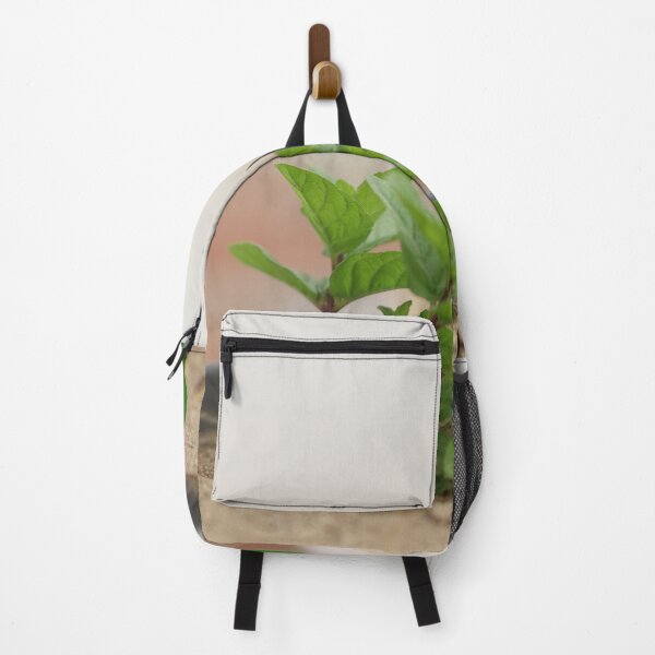 Item preview, Mint growing in the pot designed and sold by diaaphotography.