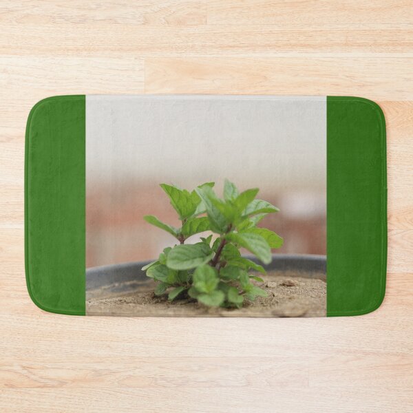 Item preview, Mint growing in the pot designed and sold by diaaphotography.