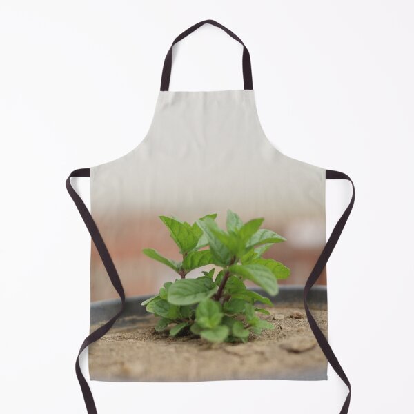 Item preview, Mint growing in the pot designed and sold by diaaphotography.