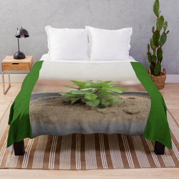 Item preview, Mint growing in the pot designed and sold by diaaphotography.