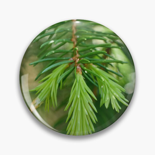 Item preview, Spring greens. Norway Spruce designed and sold by Jouko Lehto Photography.