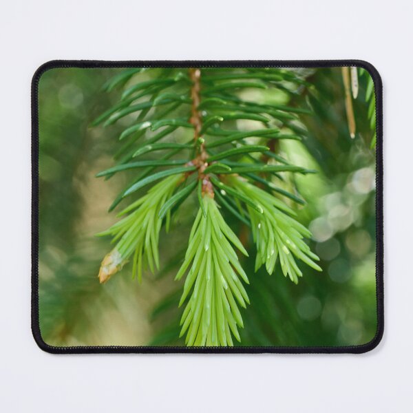 Item preview, Spring greens. Norway Spruce designed and sold by Jouko Lehto Photography.