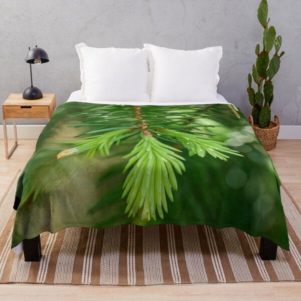 Item preview, Vegetación primaveral. Abeto de Noruega. designed and sold by Jouko Lehto Photography.