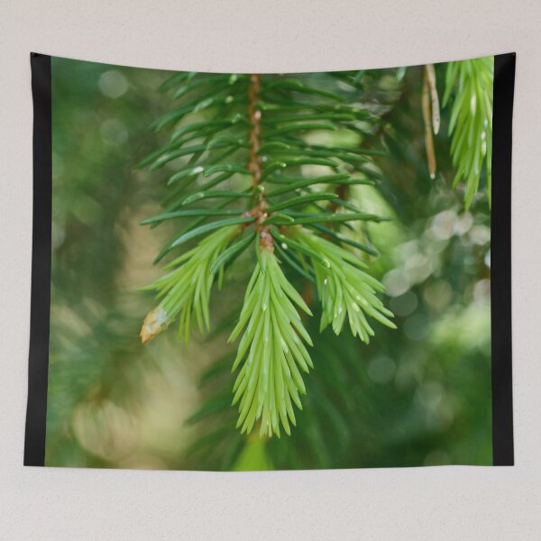 Item preview, Spring greens. Norway Spruce designed and sold by Jouko Lehto Photography.