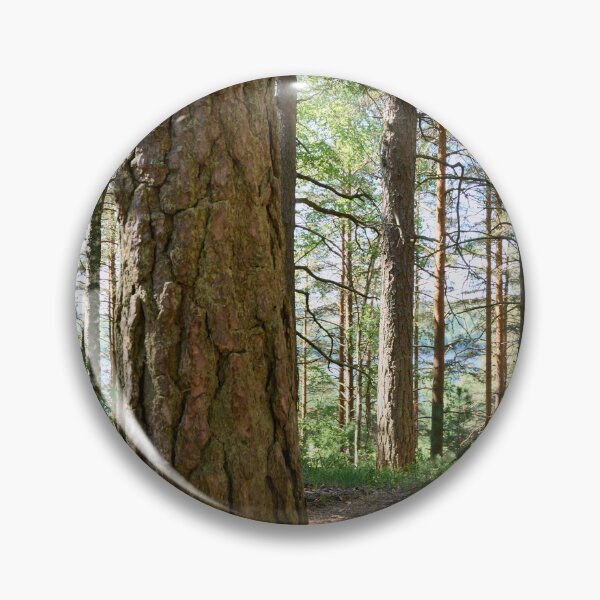Item preview, Epilanharju pines. designed and sold by Jouko Lehto Photography.