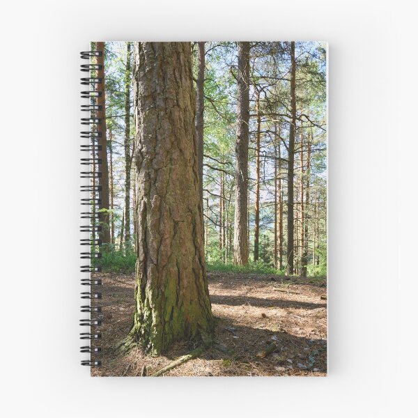 Item preview, Epilanharju pines. designed and sold by Jouko Lehto Photography.