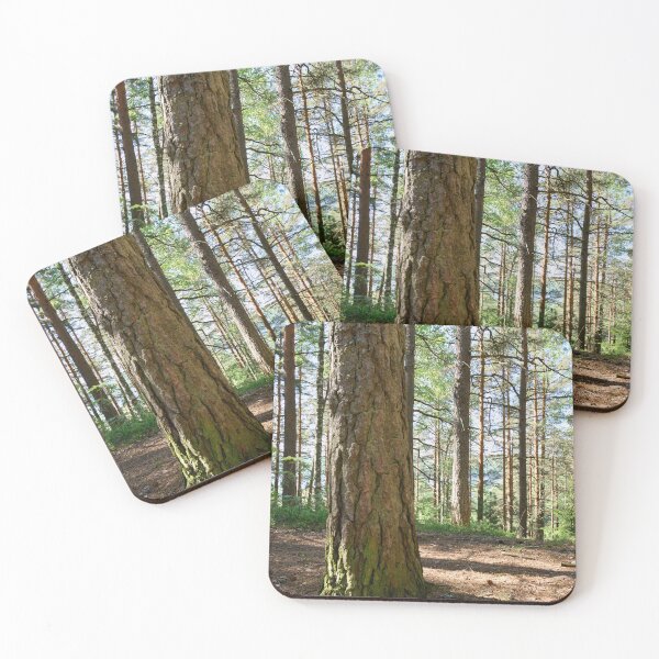 Item preview, Epilanharju pines. designed and sold by Jouko Lehto Photography.