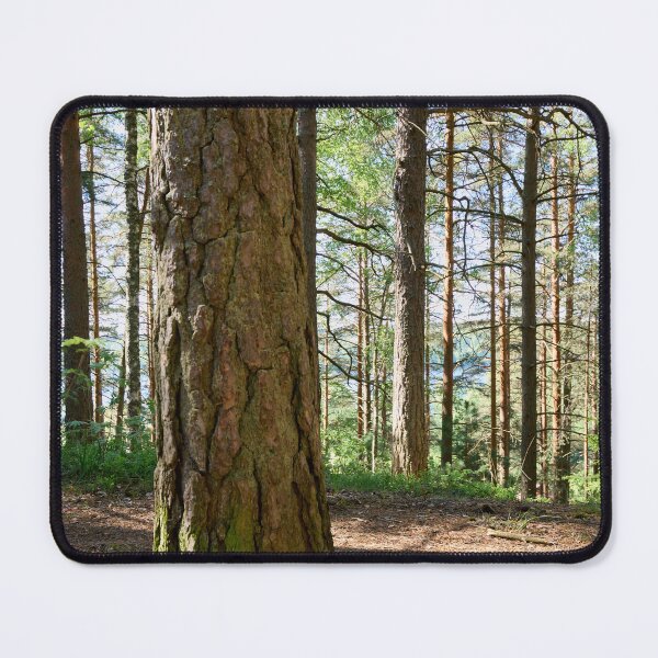 Item preview, Epilanharju pines. designed and sold by Jouko Lehto Photography.