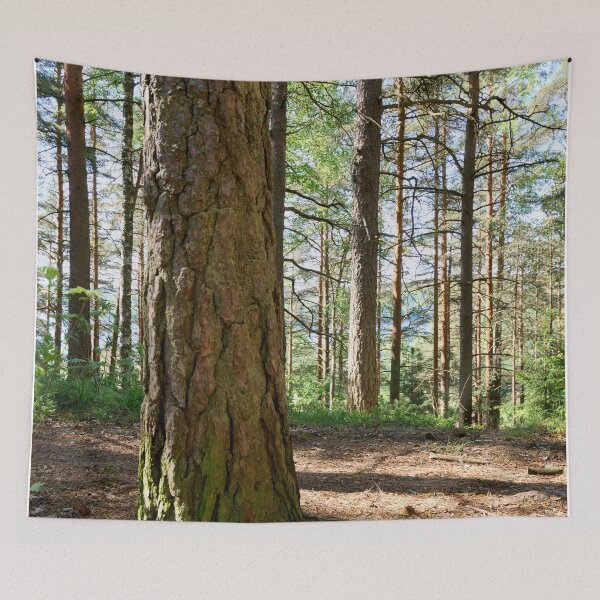 Item preview, Epilanharju pines. designed and sold by Jouko Lehto Photography.