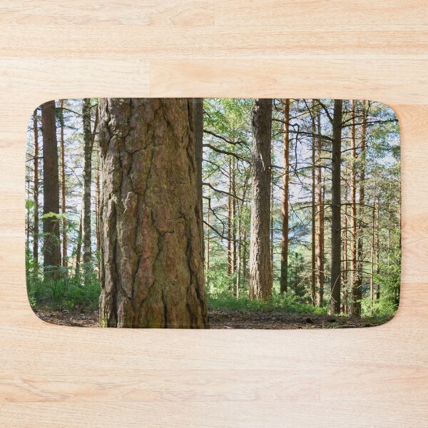 Item preview, Epilanharju pines. designed and sold by Jouko Lehto Photography.
