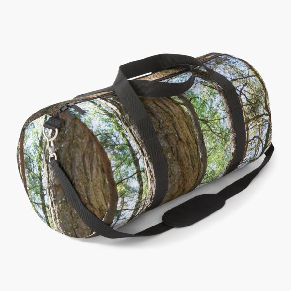 Item preview, Epilanharju pines. designed and sold by Jouko Lehto Photography.