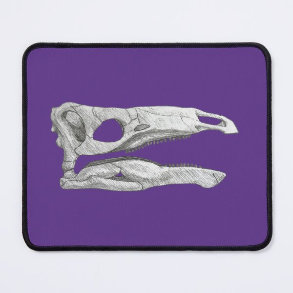 Item preview, Miragaia Longicollum skull designed and sold by DoodleSnake58.