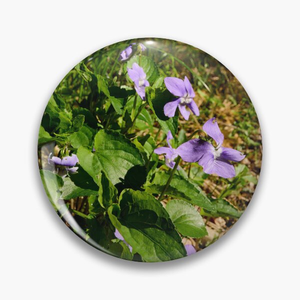 Item preview, Wood violet. Common Dog Violet designed and sold by Jouko Lehto Photography.