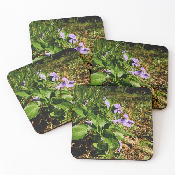 Item preview, Violeta de bosque. Violeta común de perro. designed and sold by Jouko Lehto Photography.