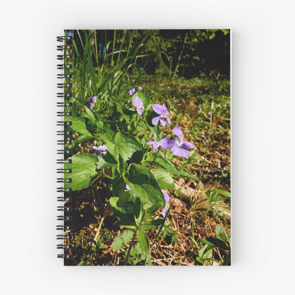 Item preview, Wood violet. Common Dog Violet designed and sold by Jouko Lehto Photography.