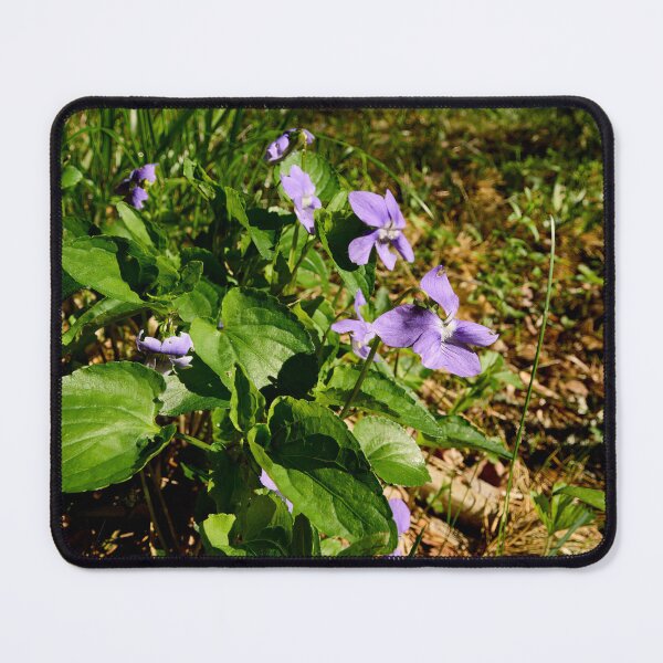 Item preview, Wood violet. Common Dog Violet designed and sold by Jouko Lehto Photography.