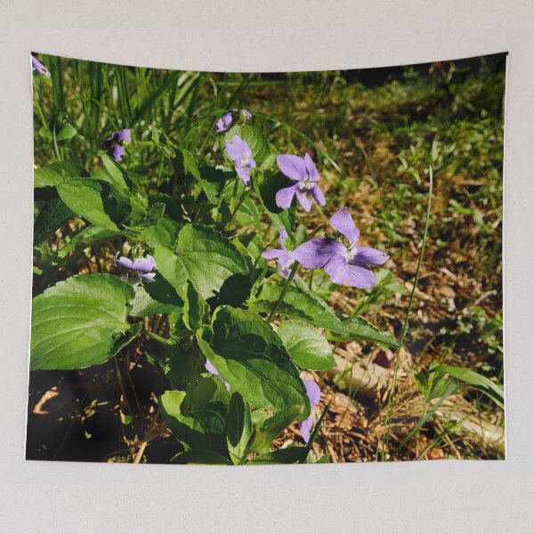 Item preview, Wood violet. Common Dog Violet designed and sold by Jouko Lehto Photography.