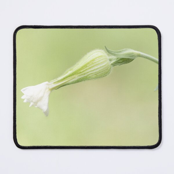 Item preview, Sage green botanical aesthetic wildflower art designed and sold by TanalyFlowers.