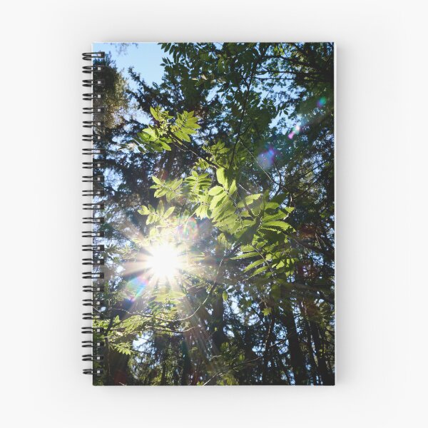Item preview, Backlight. Rowan designed and sold by Jouko Lehto Photography.