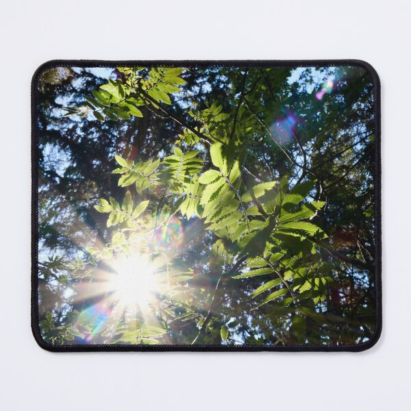 Item preview, Backlight. Rowan designed and sold by Jouko Lehto Photography.