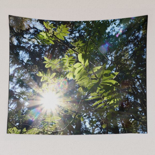 Item preview, Backlight. Rowan designed and sold by Jouko Lehto Photography.