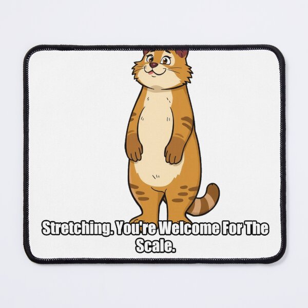 Item preview, Maine Coon - Stretching Youre Welcome For The Scale - Funny Gift designed and sold by pawdrops.