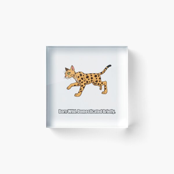 Item preview, Bengal Cat - Born Wild Domesticated Briefly - Funny Bengal Gift designed and sold by pawdrops.