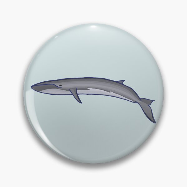 Item preview, Fin Whale designed and sold by ODruryStudios.