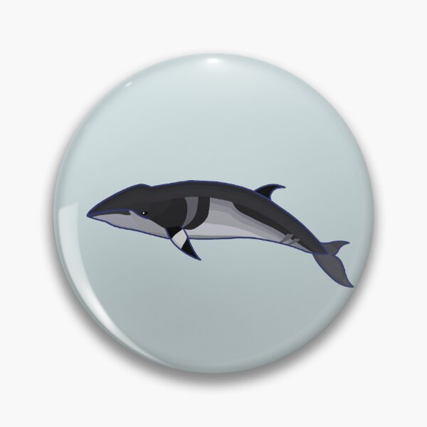 Item preview, Minke Whale designed and sold by ODruryStudios.