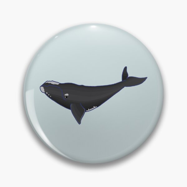 Item preview, Northern Atlantic Right Whale designed and sold by ODruryStudios.