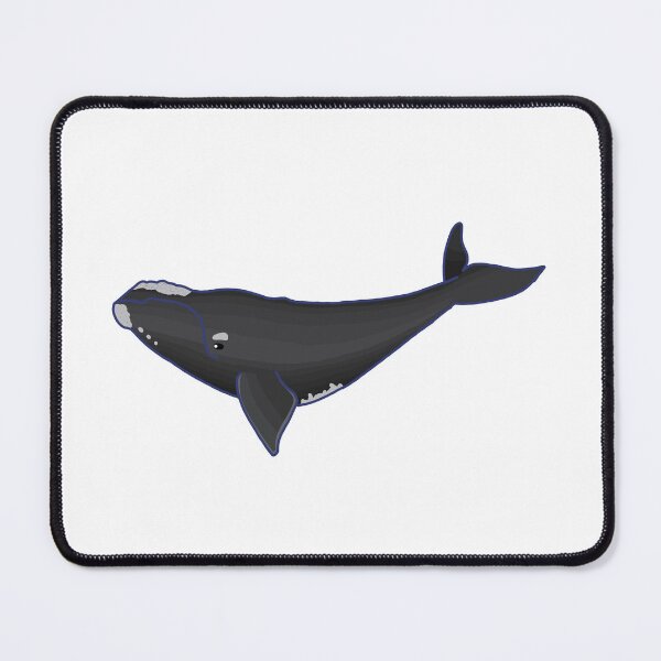 Item preview, Northern Atlantic Right Whale designed and sold by ODruryStudios.