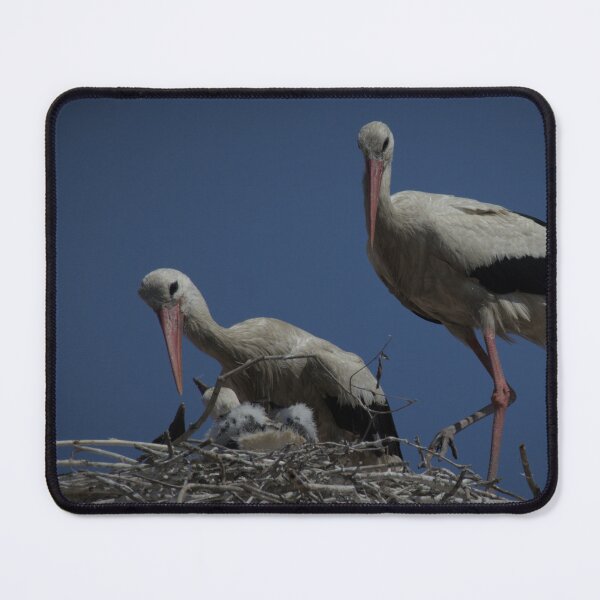 Item preview, Frozen reality - Beautiful nature 854 designed and sold by deep-sea-birds.