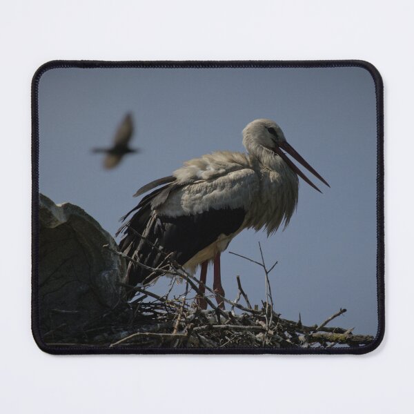 Item preview, Frozen reality - Beautiful nature 857 designed and sold by deep-sea-birds.