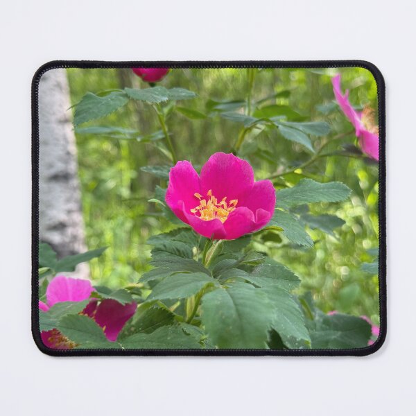 Item preview, Wild Roses in the Ravine designed and sold by Krista-Joan-Art.