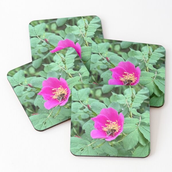 Item preview, Wild Rose with a Bee designed and sold by Krista-Joan-Art.