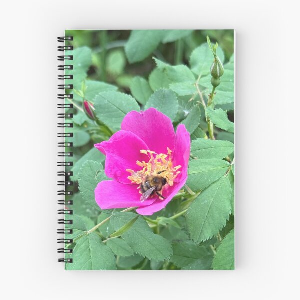 Item preview, Wild Rose with a Bee designed and sold by Krista-Joan-Art.