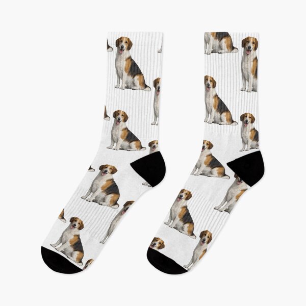 Artikelvorschau, Drever Hound Dog Tri-colored entworfen und verkauft von BackgroundND.