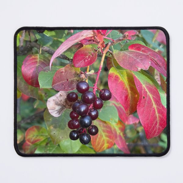 Item preview, Autumn Berries designed and sold by Krista-Joan-Art.