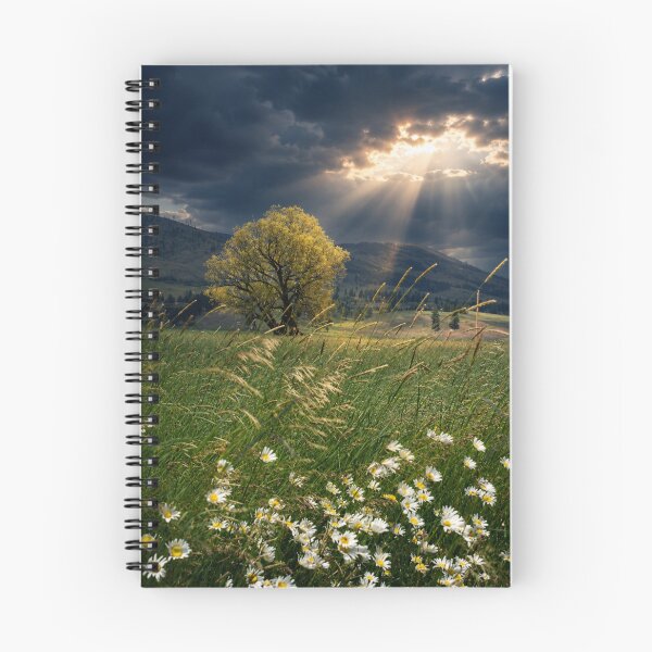 Item preview, Hope Breaks Through designed and sold by Kimberly Palmer.