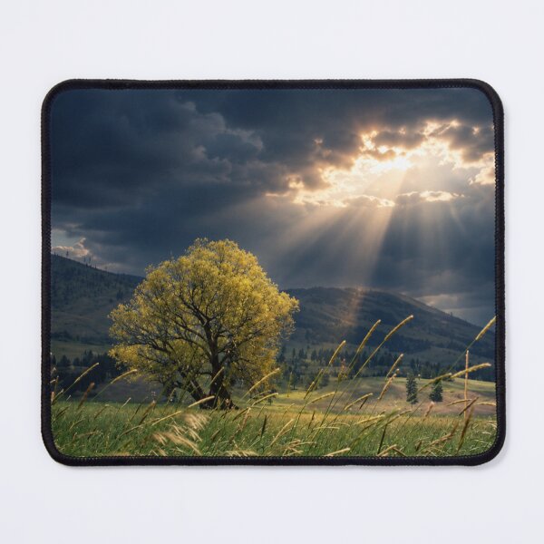 Item preview, Hope Breaks Through designed and sold by Kimberly Palmer.