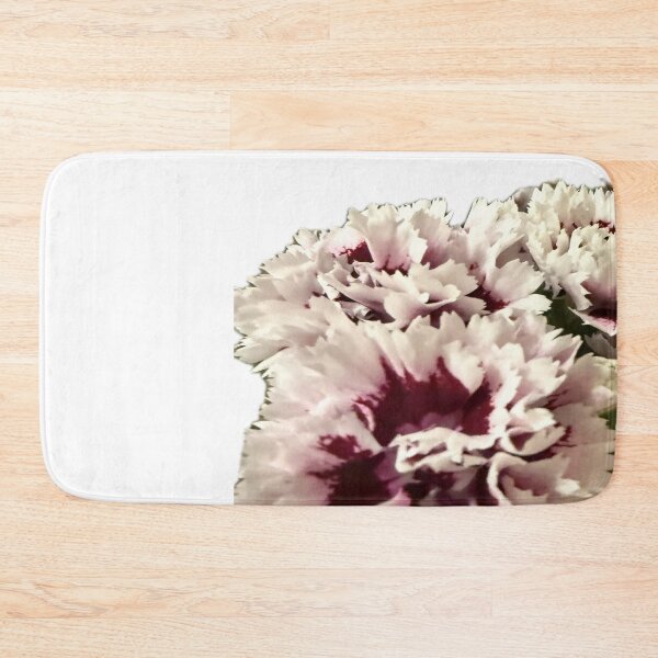 Item preview, Frilly Bicolor Carnations Isolated on White designed and sold by BalkanBloom.