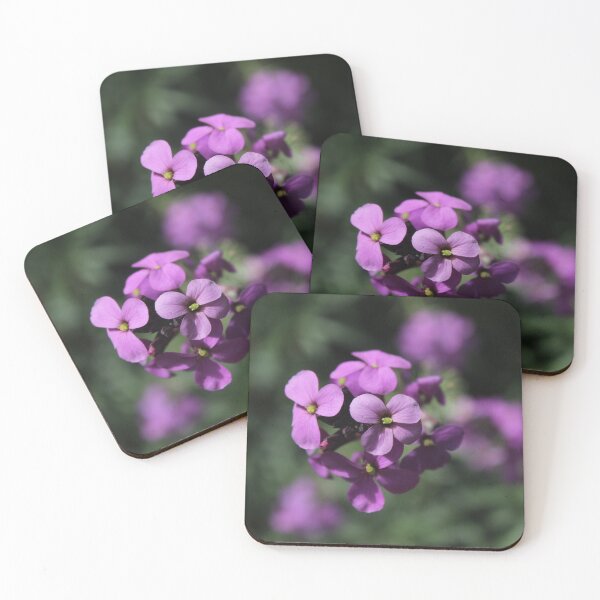 Item preview, Purple Dame's Rocket Wildflower Photography | Soft Botanical Floral Nature Print designed and sold by Cha-s-lens.