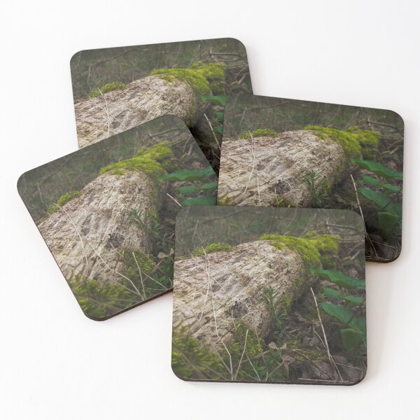Item preview, The Hamptons Forest Mossy Log on the Forest Floor designed and sold by MikeWalksUK.