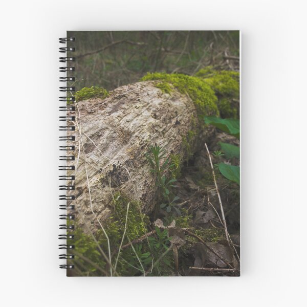 Item preview, The Hamptons Forest Mossy Log on the Forest Floor designed and sold by MikeWalksUK.
