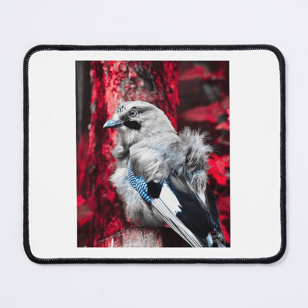 Item preview, Crimson Whisper Blue Jay designed and sold by Gerberjayey.
