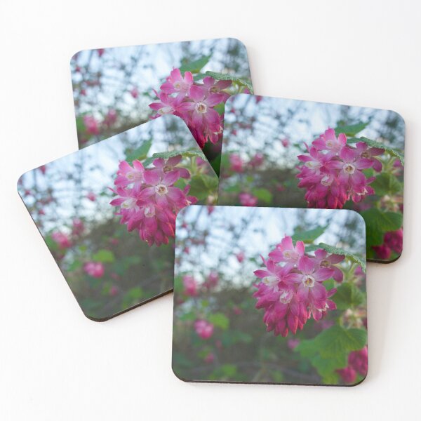 Item preview, Close up of Wild Blood Currant flower at a local Nature Reserve designed and sold by MikeWalksUK.