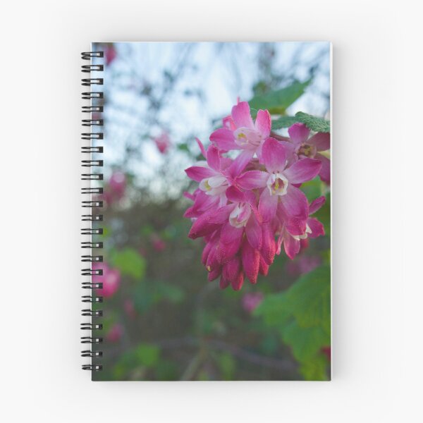 Item preview, Close up of Wild Blood Currant flower at a local Nature Reserve designed and sold by MikeWalksUK.