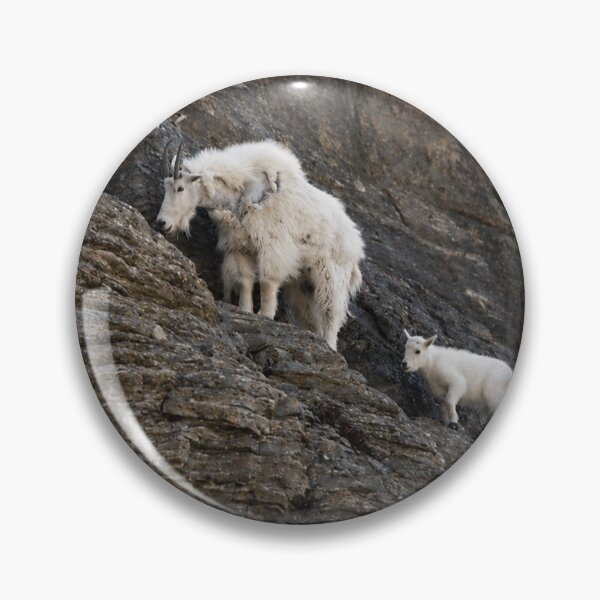 Item preview, A Mother’s Path designed and sold by Kimberly Palmer.