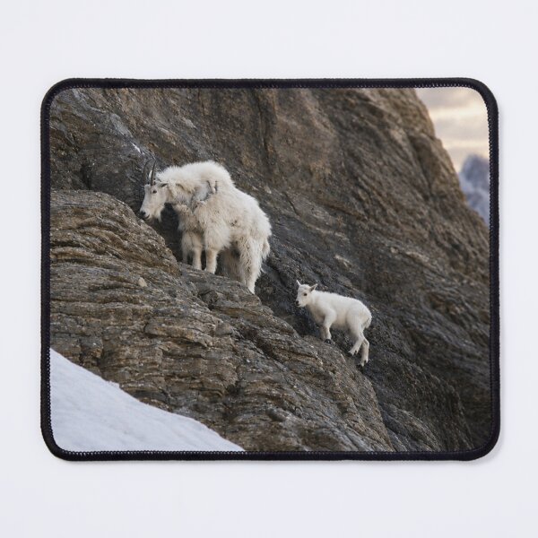 Item preview, A Mother’s Path designed and sold by Kimberly Palmer.