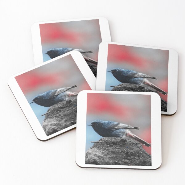 Item preview, Redstart on Stone in Duotone designed and sold by Gerberjayey.